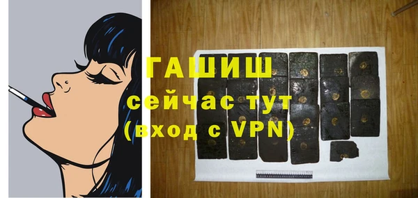 шишки Арсеньев