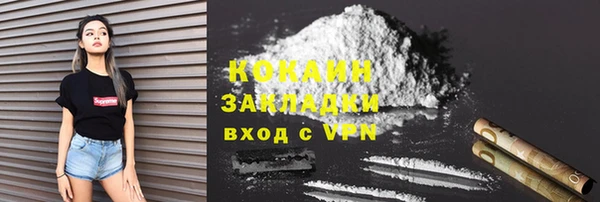 шишки Арсеньев