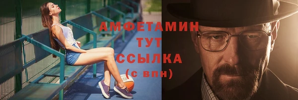 шишки Арсеньев