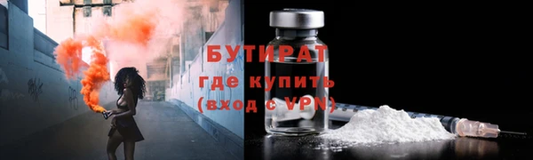 шишки Арсеньев