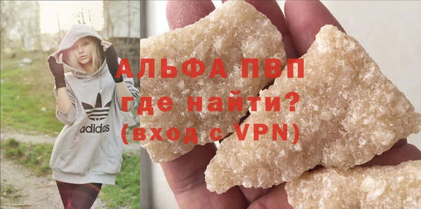шишки Арсеньев
