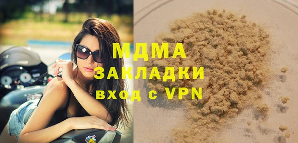 шишки Арсеньев