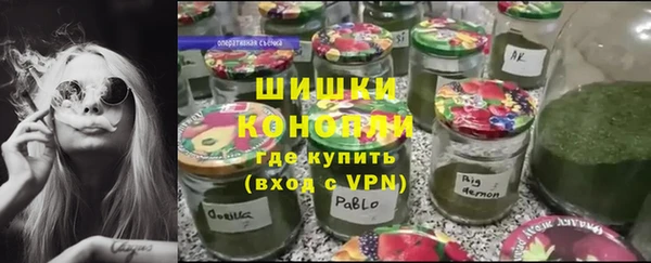 шишки Арсеньев