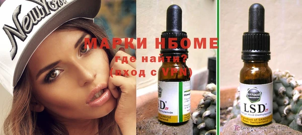 шишки Арсеньев