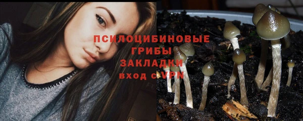 соль курить ск Аркадак