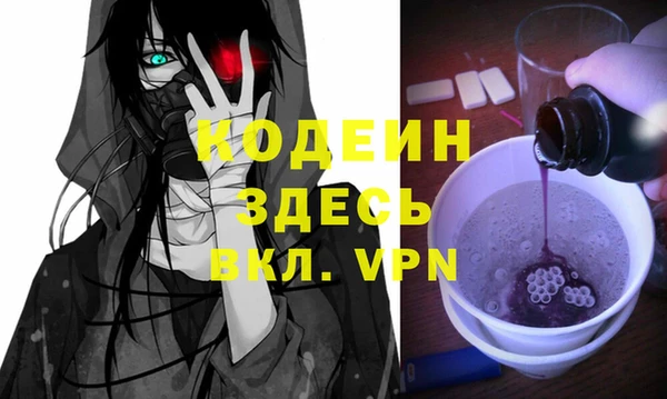 шишки Арсеньев