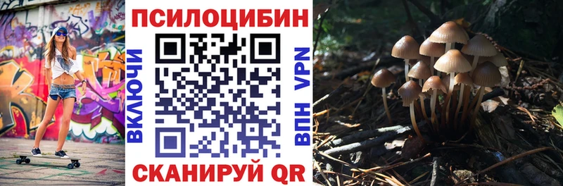 Псилоцибиновые грибы Psilocybe Поронайск